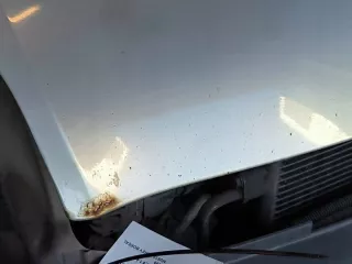  Капот Renault Clio 2 Арт e11729856, вид 7