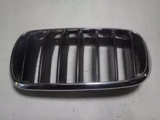 7316075 Решетка радиатора BMW X5 F15 Арт e11717190, вид 1
