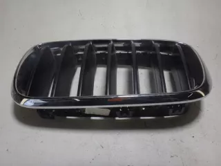 7316075 Решетка радиатора BMW X5 F15 Арт e11717190, вид 2