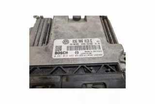 03G906013E Блок управления двигателем Skoda Roomster 1 Арт e11703205, вид 2