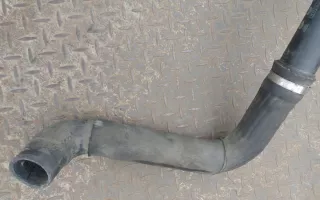 8200489204 Гофра инжектора Renault Laguna 2 Арт e11701948, вид 2