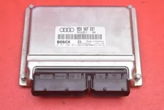 8E0907557 Блок управления двигателем Audi A4 B6 Арт e11696849, вид 1