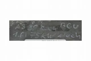 06A906033DS Блок управления двигателем Audi A3 8P Арт e11696603, вид 4