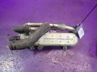038131513AD Радиатор EGR Volkswagen Passat B6 Арт e11695956, вид 1