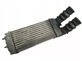 9645965180 Интеркулер Citroen Berlingo 1 restailing Арт e11639082, вид 1