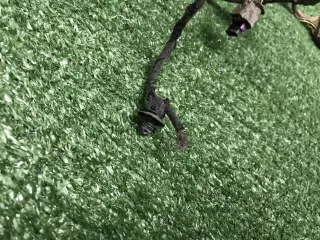 61129439906 Проводка заднего бампера BMW X6 G06 Арт 0000007924446, вид 4