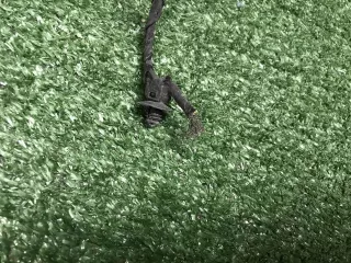 61129439906 Проводка заднего бампера BMW X6 G06 Арт 0000007924446, вид 5