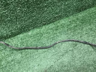 61129439906 Проводка заднего бампера BMW X6 G06 Арт 0000007924446, вид 10