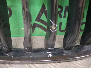 51138745730, 9 решетка радиатора BMW X7 g07 Арт ARM376617, вид 4