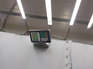 5270336F Поршень ГАЗ Газель next Арт 632069, вид 5