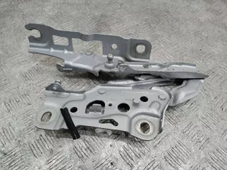 7347408 Петля капота правая BMW 7 G11/G12 Арт 107913, вид 1