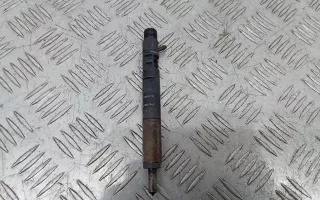 166000897R,8200827965 Форсунка Renault Megane 3 Арт 100977