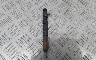 166000897R,8200827965 Форсунка Renault Megane 3 Арт 100975