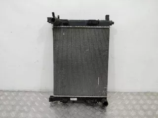 214100078R Радиатор (основной) Dacia Lodgy Арт 84875, вид 3
