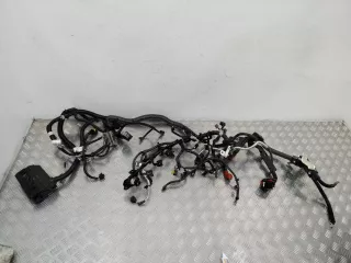  Проводка двигателя Nissan Qashqai 2 restailing Арт 80747