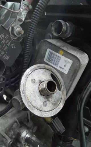 779744 Теплообменник масляного фильтра Renault Megane 2 Арт 2_44032, вид 1