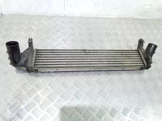 8200409045 Интеркулер Renault Logan 1 Арт 2_26750, вид 1