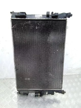 8200735039 Радиатор (основной) Renault Duster 1 Арт 2_26747