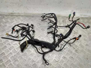 242964406R Проводка двигателя Renault Twingo 2 Арт 2_21127, вид 1