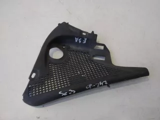 668630009R Дождевик Renault Scenic 3 Арт 2_4984, вид 1