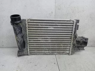 144966051R Интеркулер Renault Duster 1 Арт 30-72, вид 1