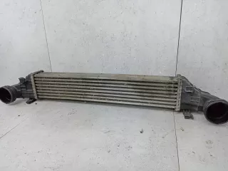 A2115001102 Интеркулер Mercedes E W211 Арт 30-39, вид 4