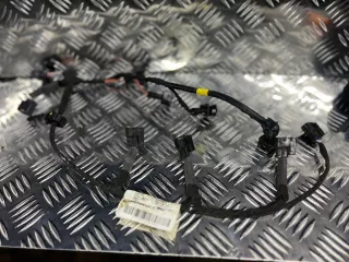 240116678R проводка Renault Duster 1 Арт 3_87, вид 1