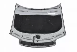  Капот Audi A6 C5 (S6,RS6) Арт e10633891, вид 2