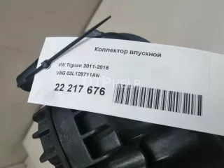 03L129711AN Коллектор впускной Seat Alhambra 2 Арт AM22217676, вид 1