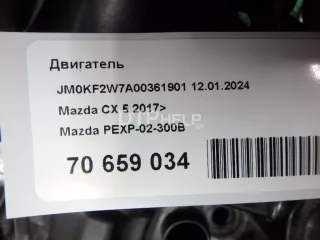 PEXP02300B Двигатель Mazda CX-5 2 Арт AM70659034, вид 19