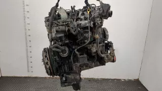 167005X00D ТНВД Nissan Navara D40 2.5л DCI Арт 11403174, вид 4