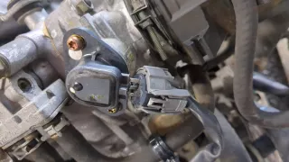30100P6TT01 Распределитель зажигания (трамблер) Honda CR-V 1 Арт 11403642, вид 3