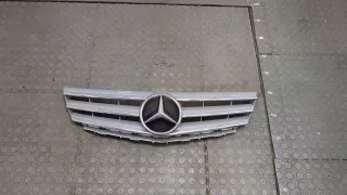 A1698801783,A1698880009 Решетка радиатора Mercedes A W169 Арт 20377811, вид 1