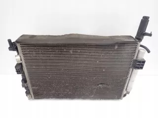  Радиатор (основной) Ford C-max 2 Арт e7366966, вид 3