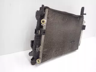  Радиатор (основной) Ford C-max 2 Арт e7366966, вид 4