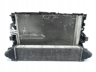 6G91-8005-AC 6G91-8C607-GK 6G91-8C607-M Радиатор (основной) Ford Galaxy 2 Арт e9140790, вид 1