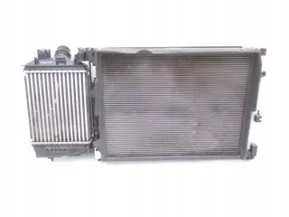 214105FA0B 921005FA0A 144966668R 214810411R 215599143R Радиатор (основной) Renault Clio 2 Арт e9234529, вид 1