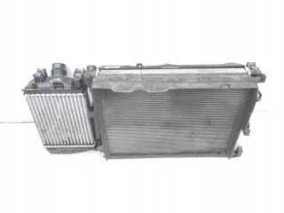 214105FA0B 921005FA0A 144966668R 214810411R 215599143R Радиатор (основной) Renault Clio 2 Арт e9234529, вид 2
