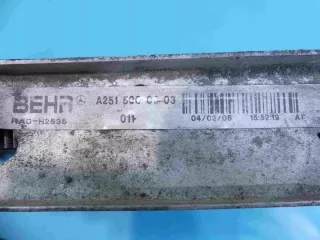 A2515000003 Радиатор (основной) Mercedes R W251 Арт e9676638, вид 9