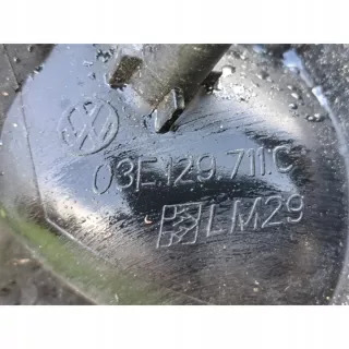 03E129711C Коллектор впускной Volkswagen Polo 4 Арт e9847327, вид 2