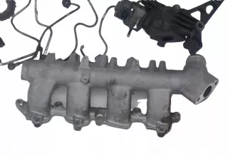 NL0769 Коллектор впускной Nissan Navara D22 Арт e9879683, вид 1