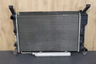 1695000604 1695001154 A1695000604 Радиатор (основной) Mercedes A W169 Арт e10445113, вид 1