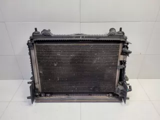 GX73-8C607-AD GX738005DC GX73-8K230-BA SKU19365 Радиатор (основной) Jaguar F-Pace Арт e10520094, вид 1