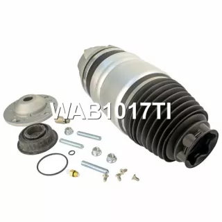 WAB1017AA,WAB1017BN,WAB1017GA,WAB1017TI,WAB1017TX,95834305200,95834305202,95834305210,95834305212,95834305213,95834305220,95834305230,7P6616040H,7P6616040K,7P6616040L,7P6616040M,7P6616040N,7P6616040R,7P6616404G,7P6616404H,7P6616404J Пневмоподушка Audi Q7 4L Арт А2222834641-2