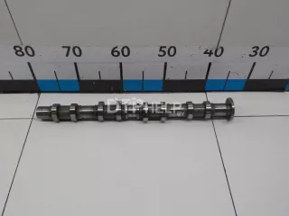 6640501001 Распредвал выпускной SsangYong Rexton 1 Арт AM31216973, вид 1