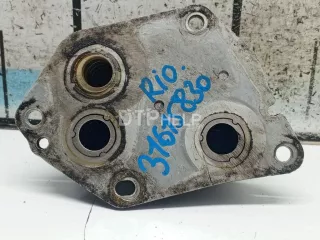 264102A010 Радиатор масляный Kia Rio 3 Арт AM31615830, вид 3