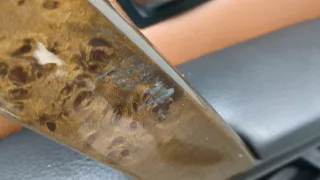 41527202342,7202342 Дверь задняя правая синяя BMW 5 E60/E61 Арт 20425779, вид 5
