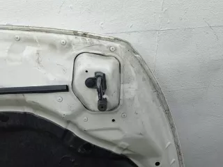 FEA0M1CAMA Капот Infiniti FX2 Арт 00299199, вид 4