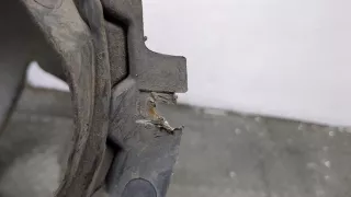  Защита арок передняя правая (подкрылок) Seat Leon 2 Арт 20431108, вид 3