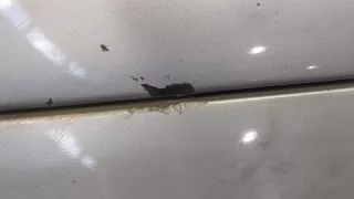 6351K5 Фара противотуманная левая передняя Peugeot 206 1 Арт 11368143, вид 4